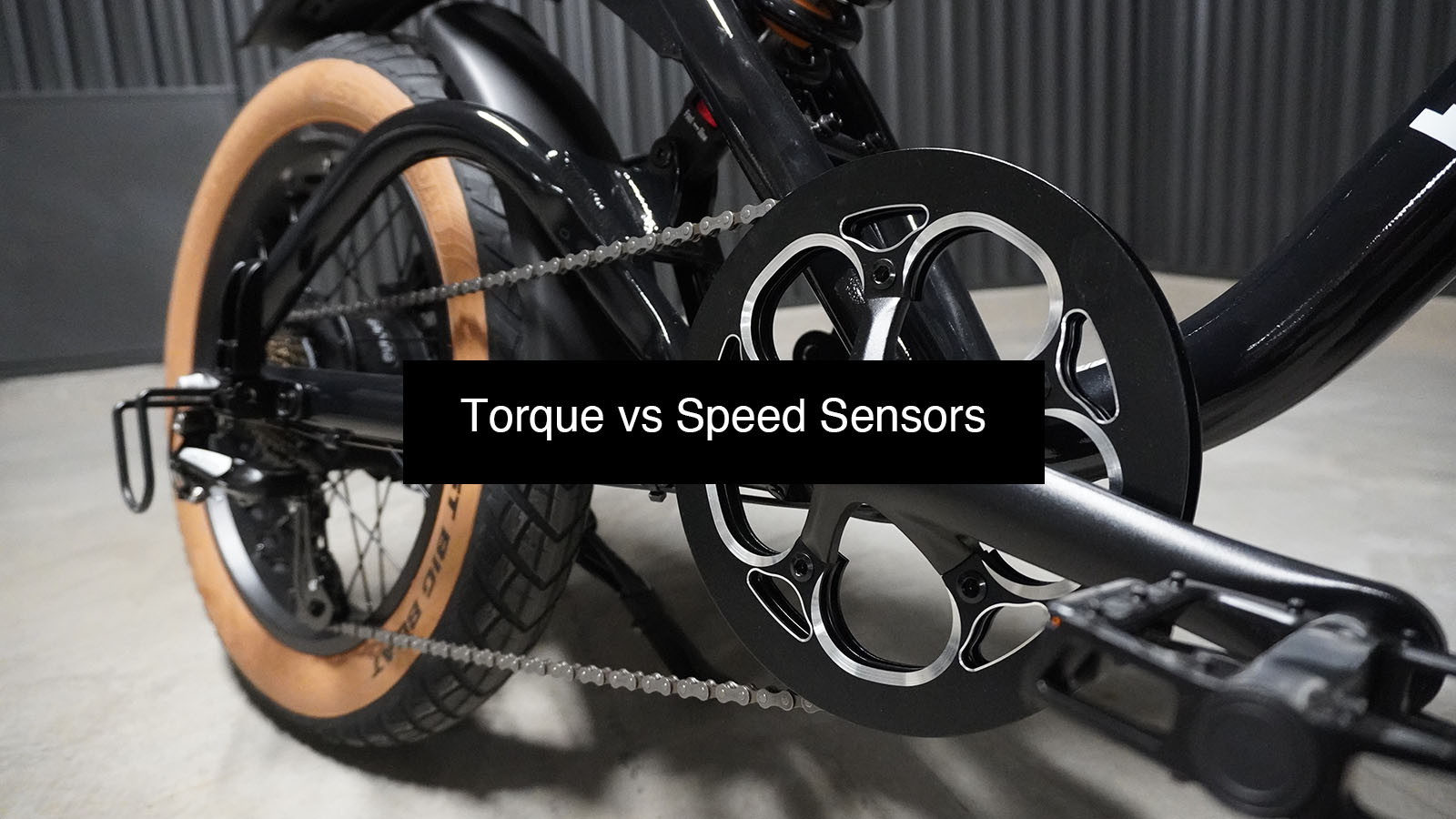Close-up of the True North Seeker’s black crank and drive system, showing the chainring, pedals, and hub motor connection in natural light, highlighting premium e-bike engineering and design.